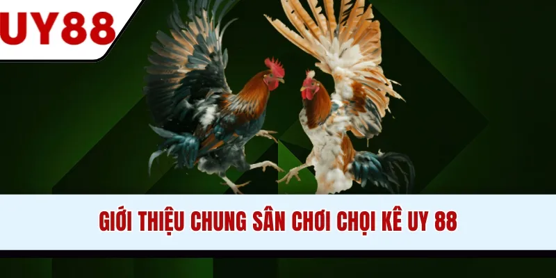 Giới thiệu chung sân chơi chọi kê UY88