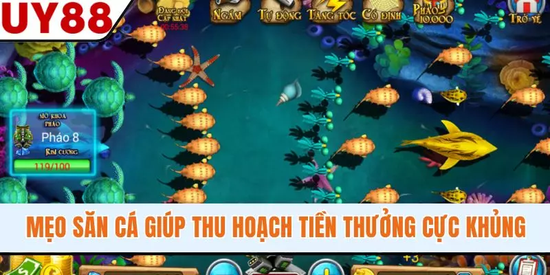 Mẹo săn cá giúp thu hoạch tiền thưởng cực khủng